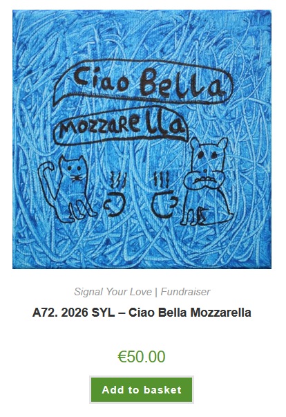 Signal Arts Centre Bray Fundraiser