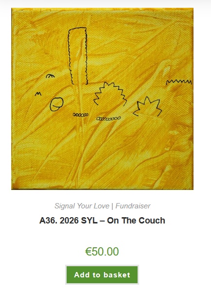 Signal Arts Centre Bray Fundraiser