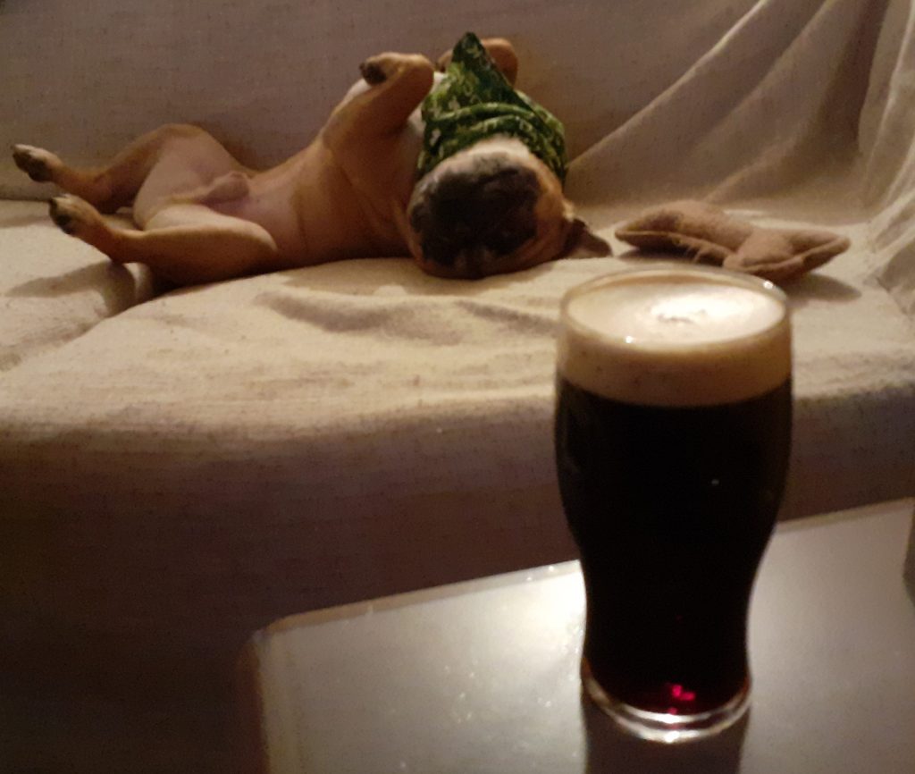 St. Patrick's Day Dog