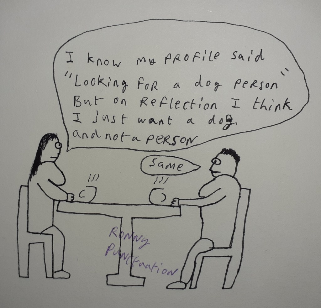 Ronny Punctuation cartoon